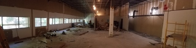 Bone_Joint_2017-10-19-1